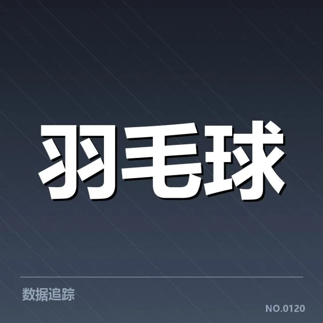 香港羽毛球队排名争夺：实力与战术调整能否突破瓶颈