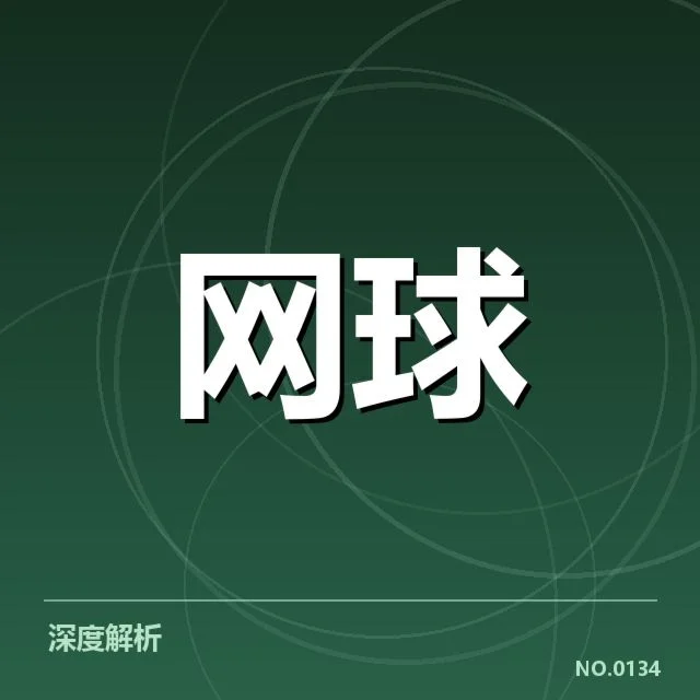 李娜伤愈回归：复出状态是否能持续稳定